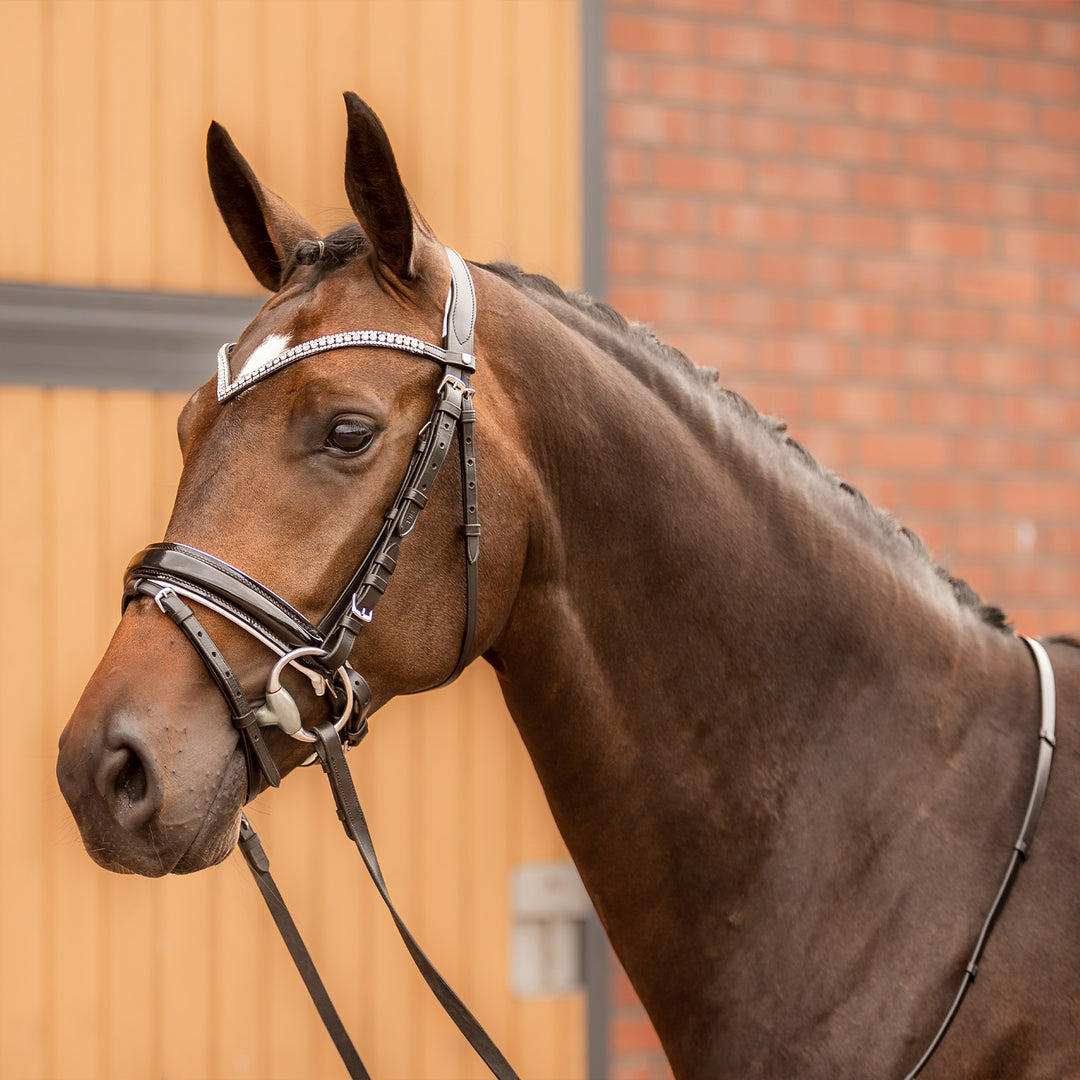 Horze Grayson Classic Dressage Ergonomic Bridle image 