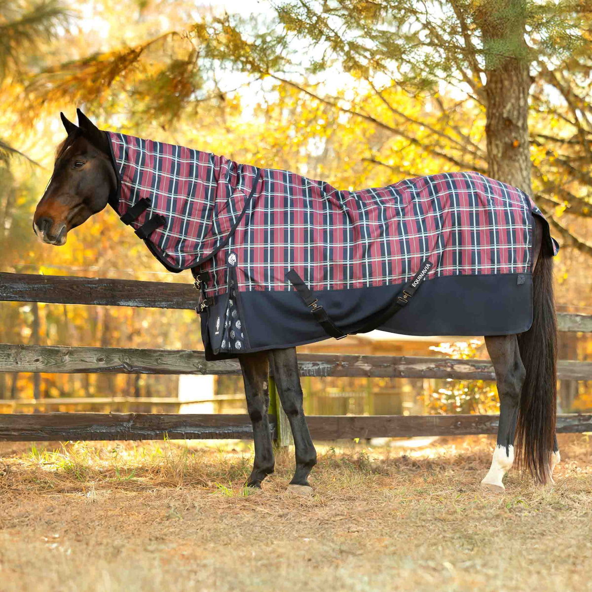 Equinavia Norse Mid Weight Turnout Blanket 200g image #2