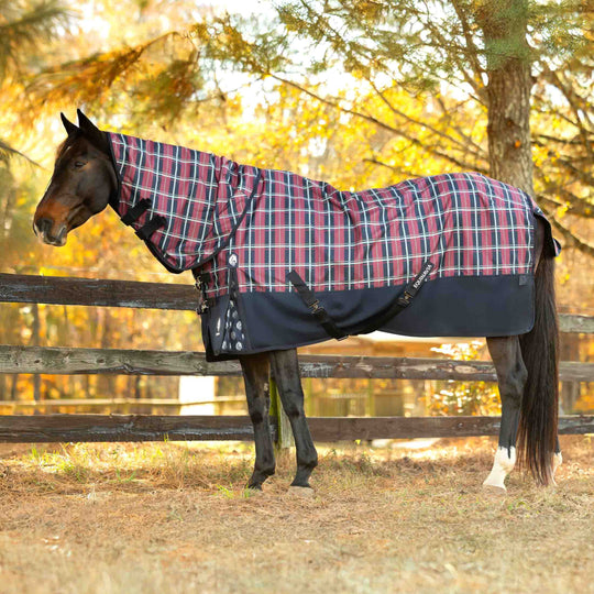 Equinavia Norse Mid Weight Turnout Blanket 200g image 