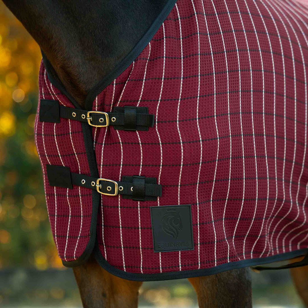 Equinavia Luftig Waffle Cooler image 