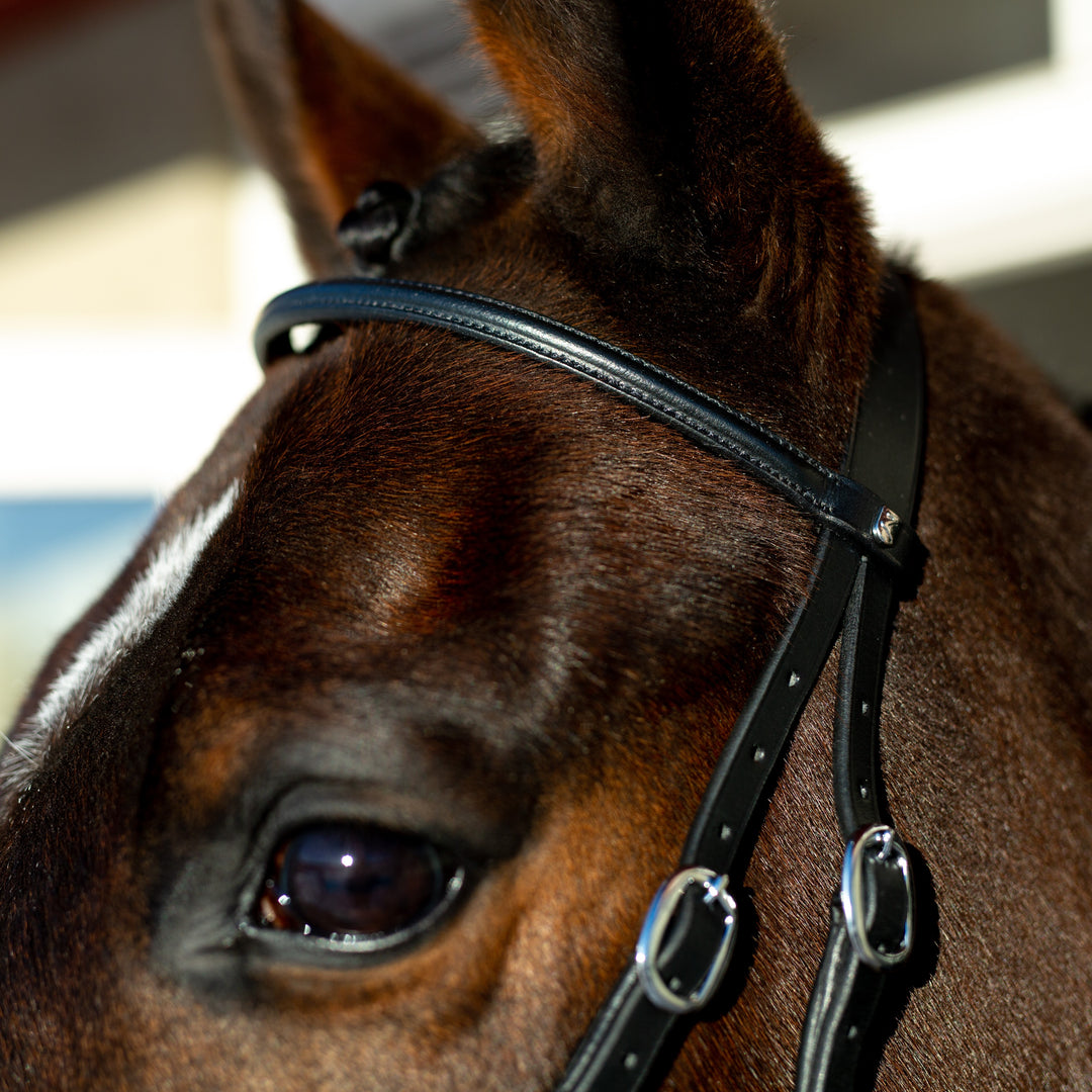 Horze Leather Bitless Bridle image 