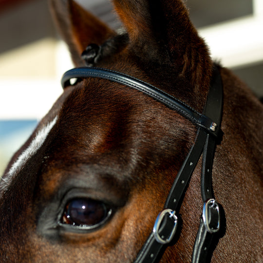 Horze Leather Bitless Bridle image 
