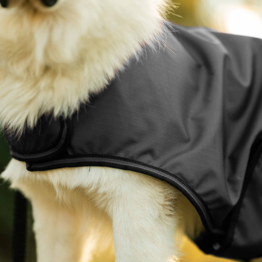 Equinavia Norse Dog Turnout Sheet image 