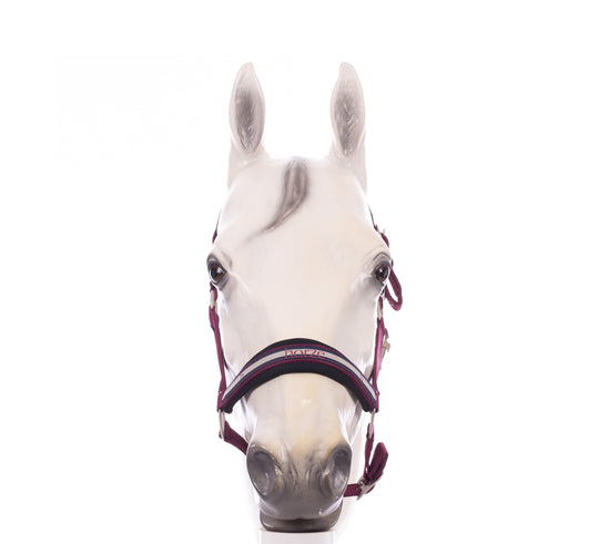 Horze Eternal Gaze Halter and Lead Set image 