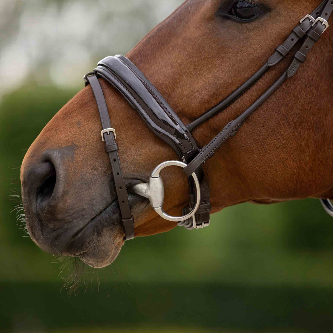 Horze Clermont Ergonomic Crystal Bridle image 