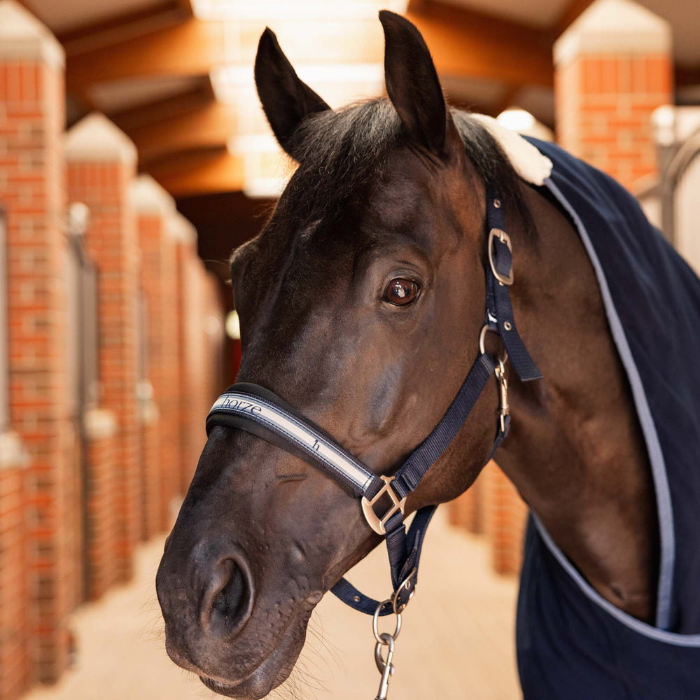 Horze Eternal Gaze Halter and Lead Set image #2