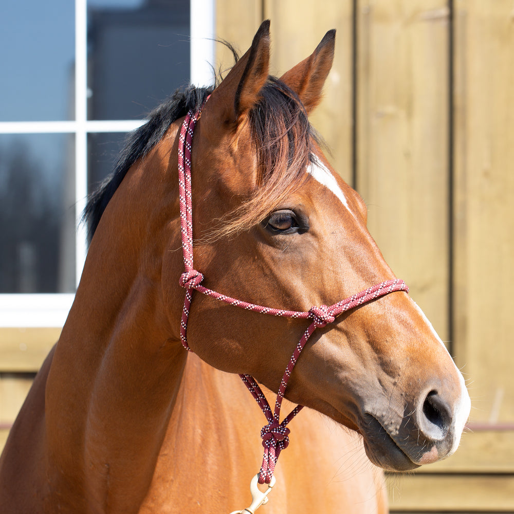 Equinavia Rope Halter image #2