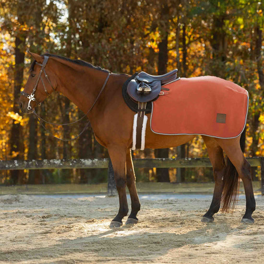 Equinavia Norse Fleece Exercise Quarter Sheet image 