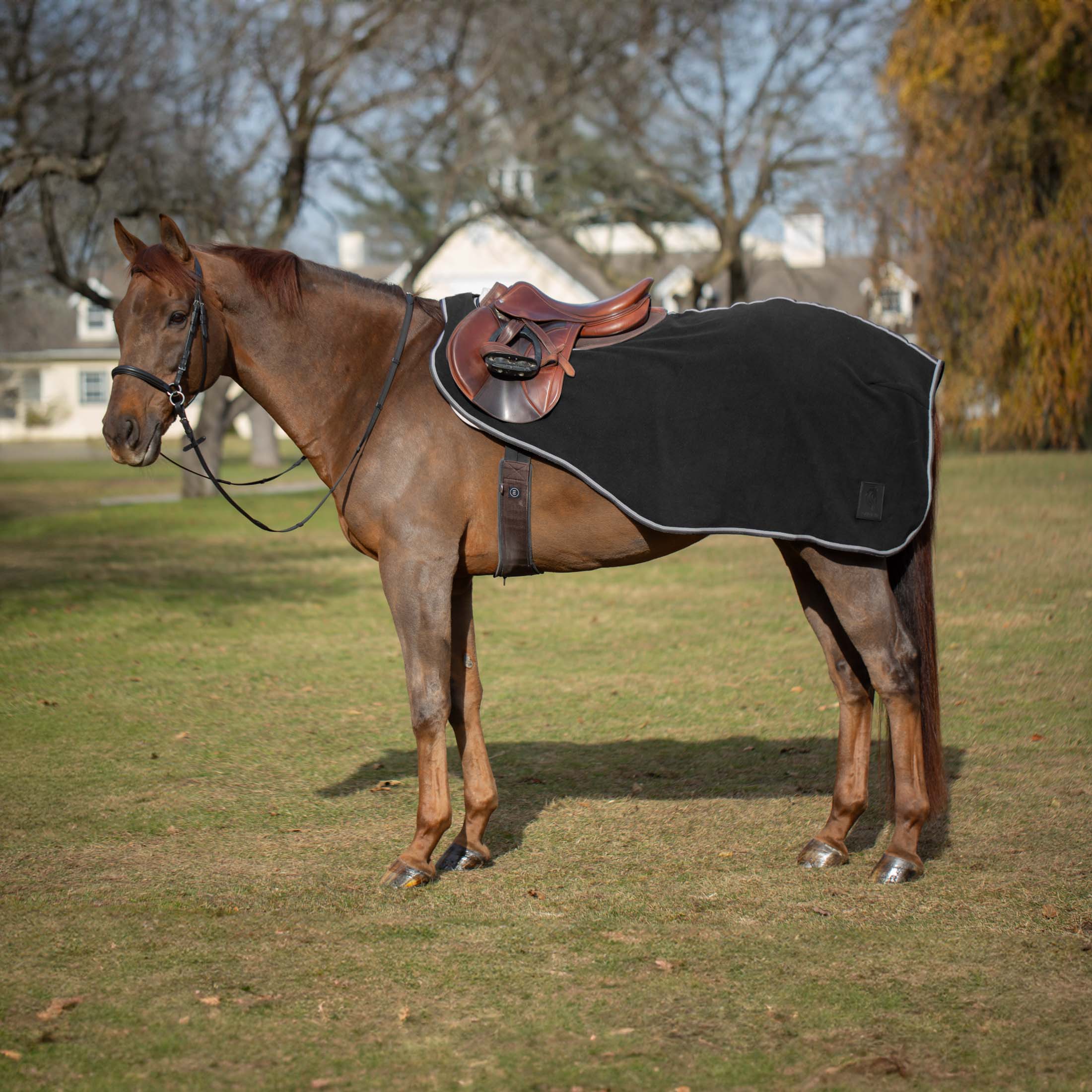 Equinavia Norse Fleece Quarter Sheet image #1