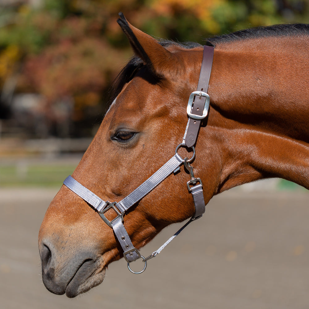 Equinavia Loki Breakaway Halter image #2
