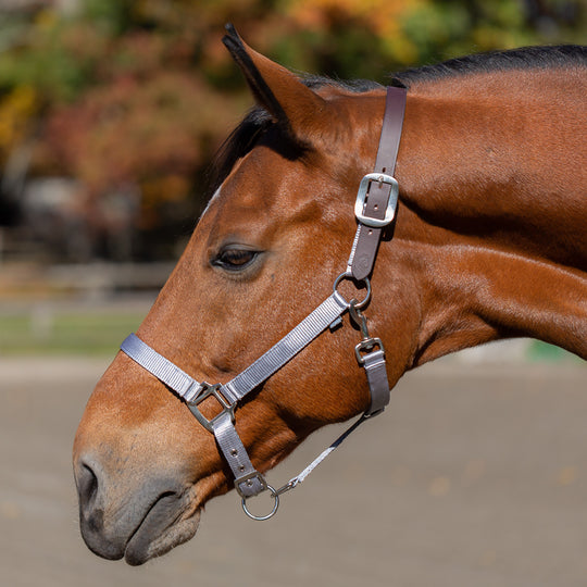 Equinavia Loki Breakaway Halter image 
