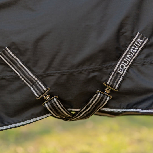 Equinavia Norse Pony Turnout Blanket 100g image 