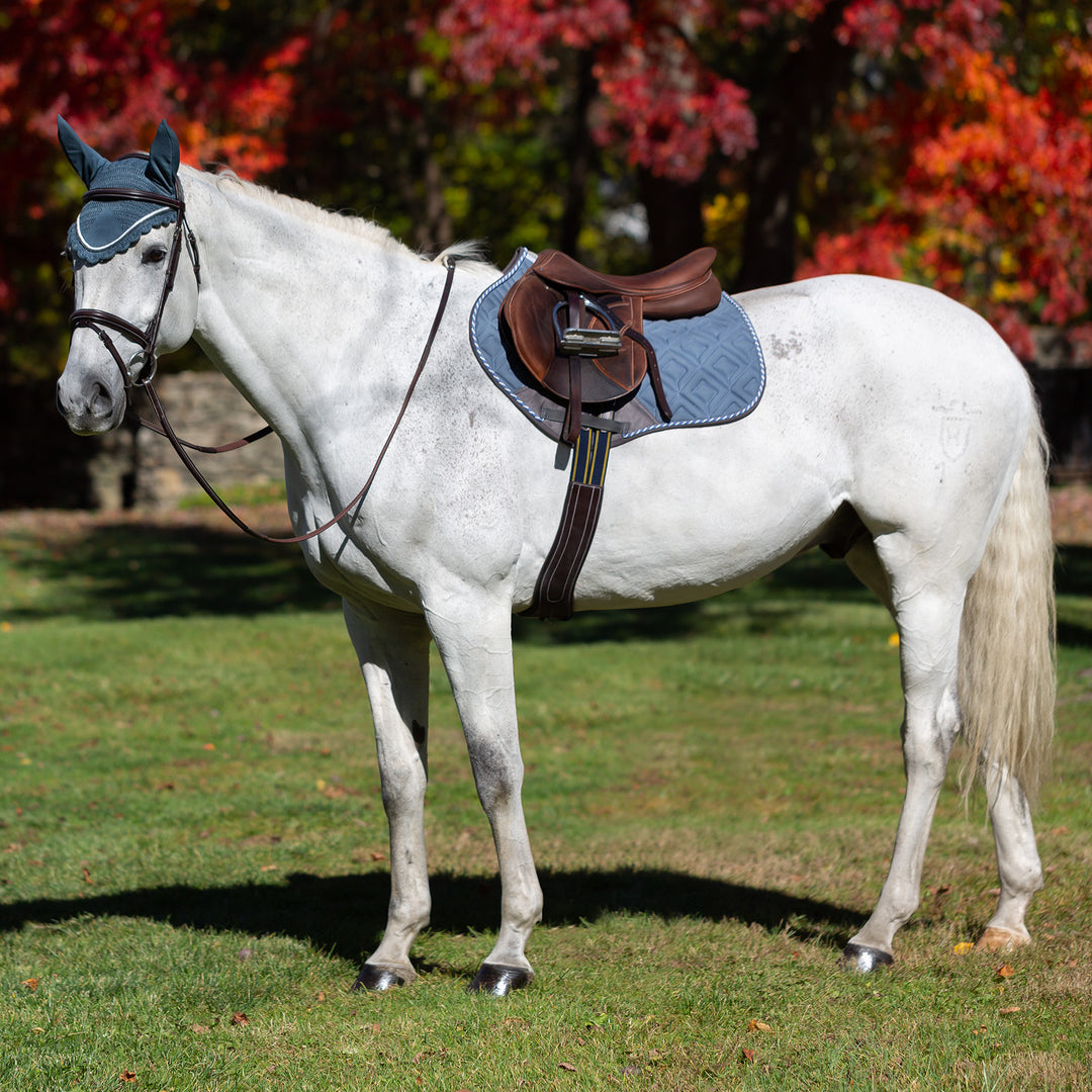 Equinavia Nord Ear Net image 