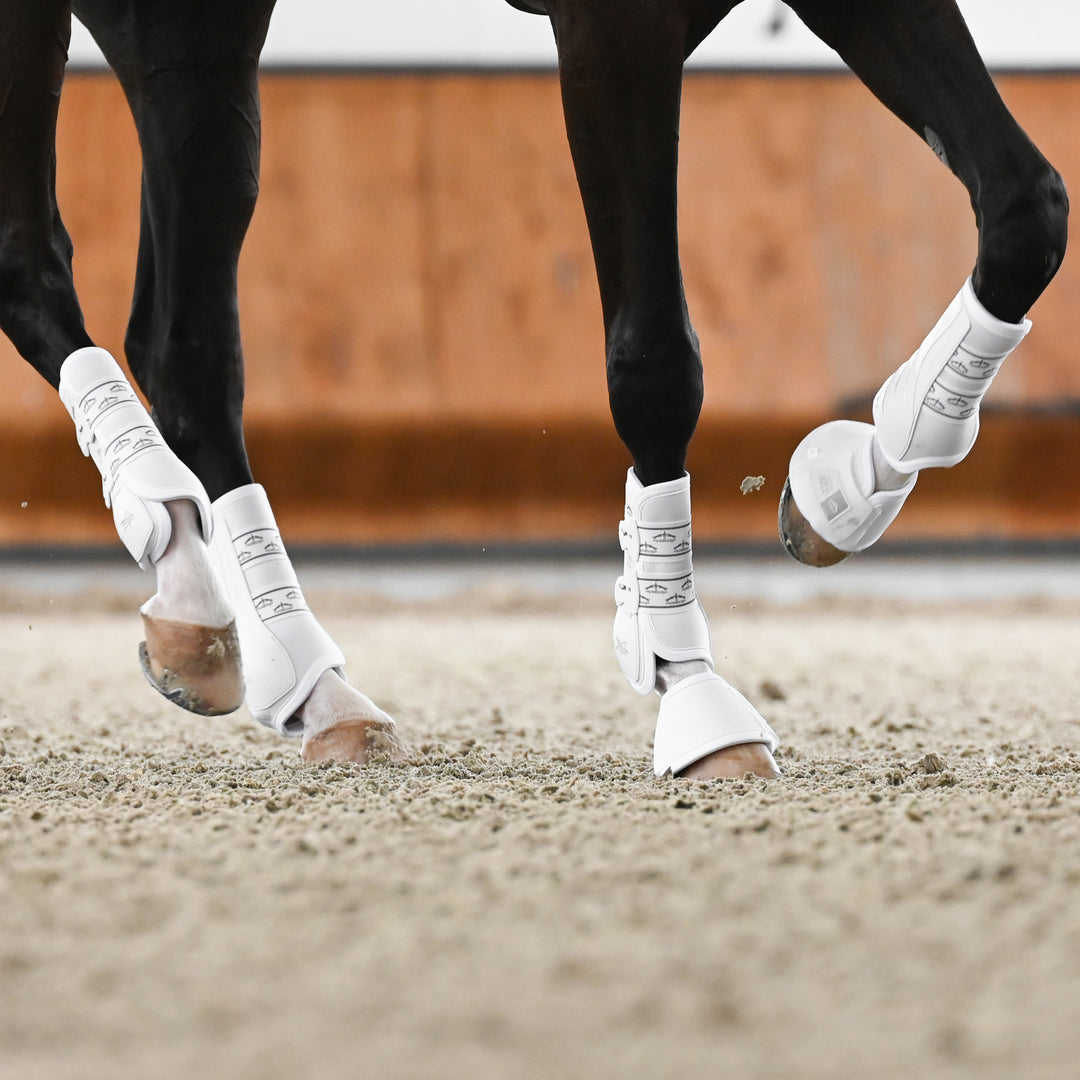 Veredus Absolute Easy Strap Rear Dressage Boots image 