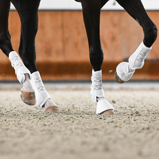 Veredus Absolute Easy Strap Rear Dressage Boots image 