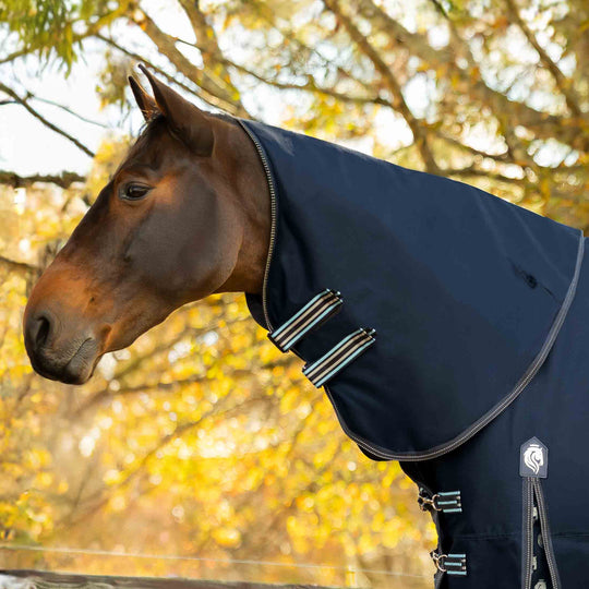 Equinavia Arktis Regular Neck Mid Weight Turnout Blanket 200g image 