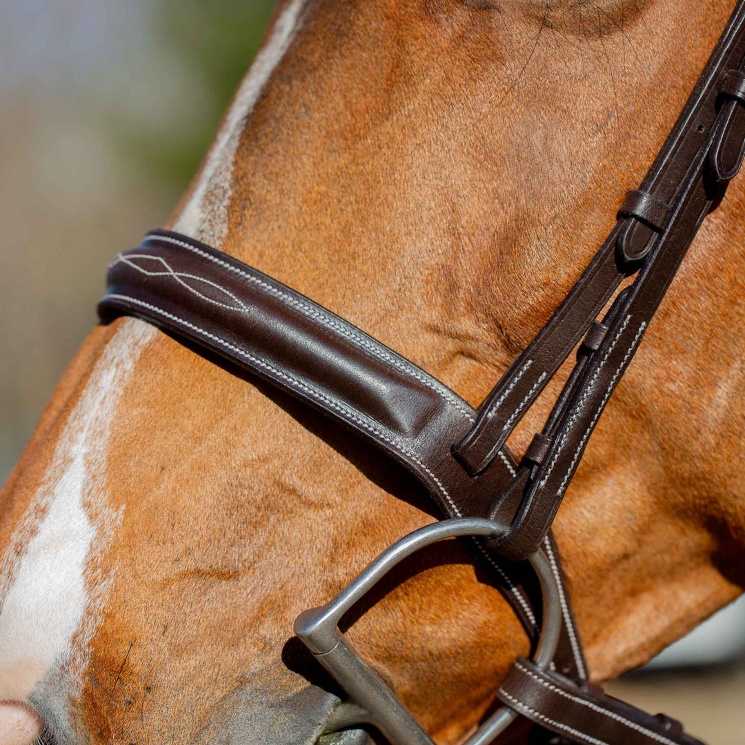 Equinavia Valkyrie Classic Wide Noseband Hunter Bridle with Reins image 