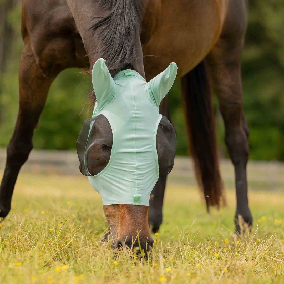 Equinavia Bug Out Fly Mask image 