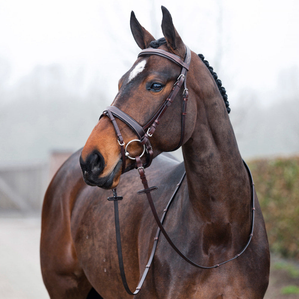 Horze Venice Soft Padded Bridle w/ Reins image #2