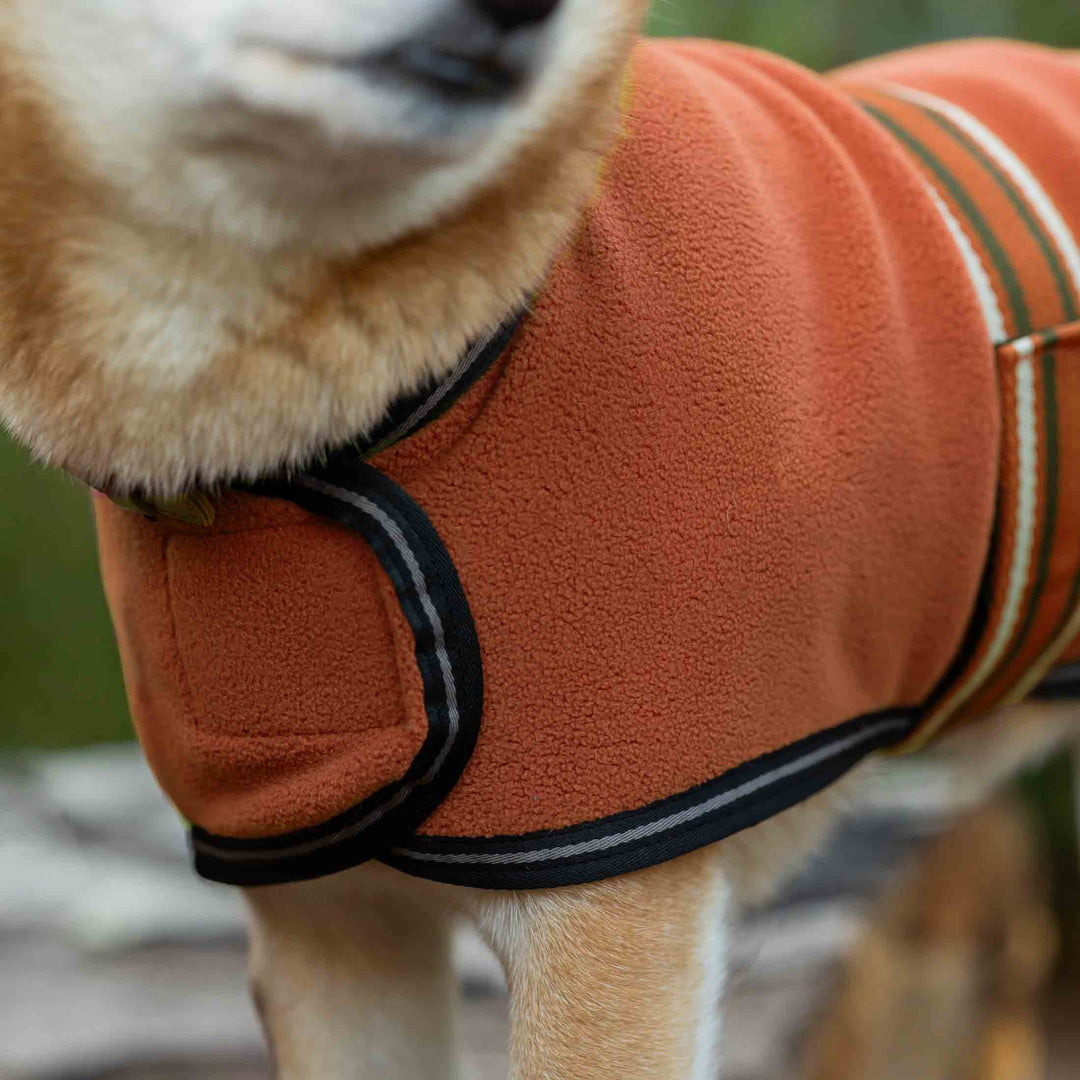 Equinavia Norse Fleece Dog Coat image 