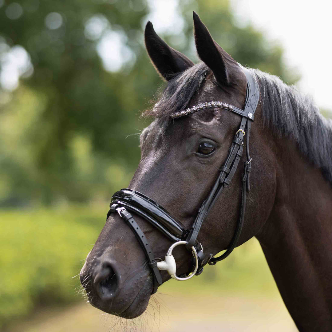 Horze Clermont Ergonomic Crystal Bridle image 