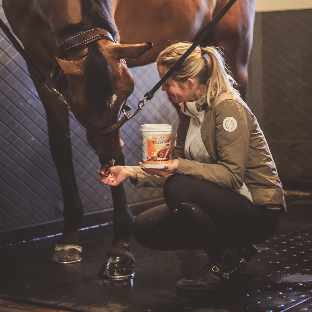 Veredus Golden Hoof image 