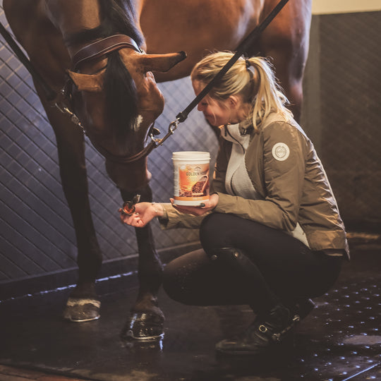 Veredus Golden Hoof image 