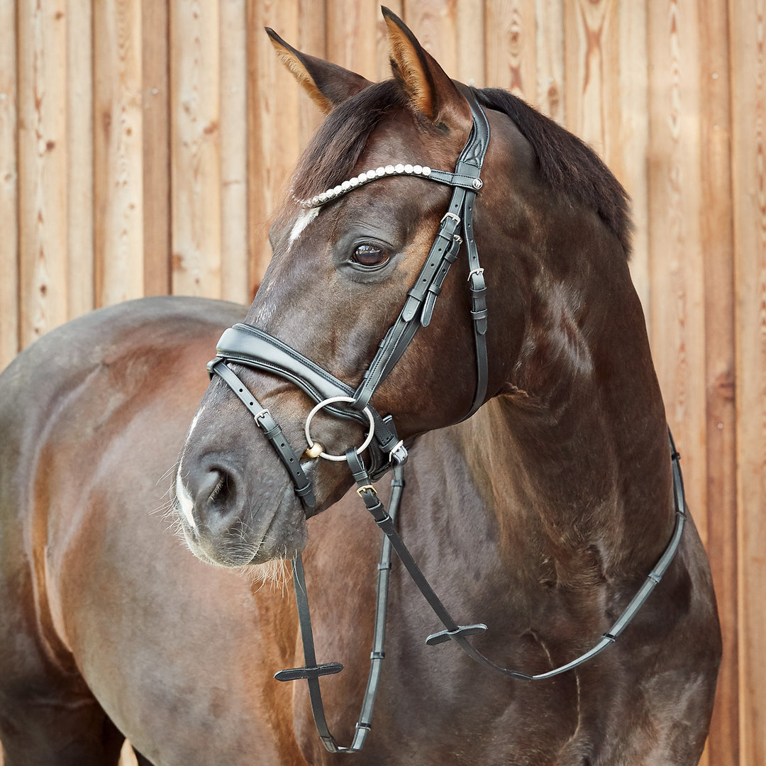 Horze Somerset Fancy Show Bridle image 