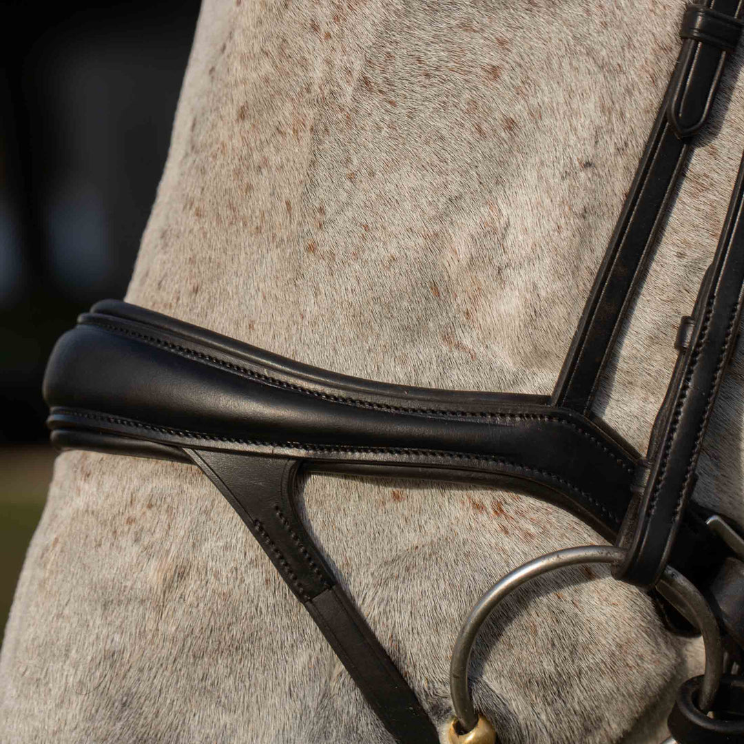 Equinavia Valkyrie Alternative Flash Bridle with Rubber Reins image 