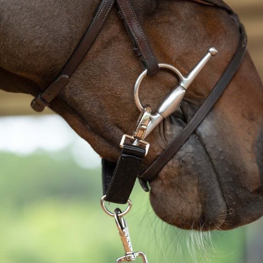 Horze Lunging Strap image 