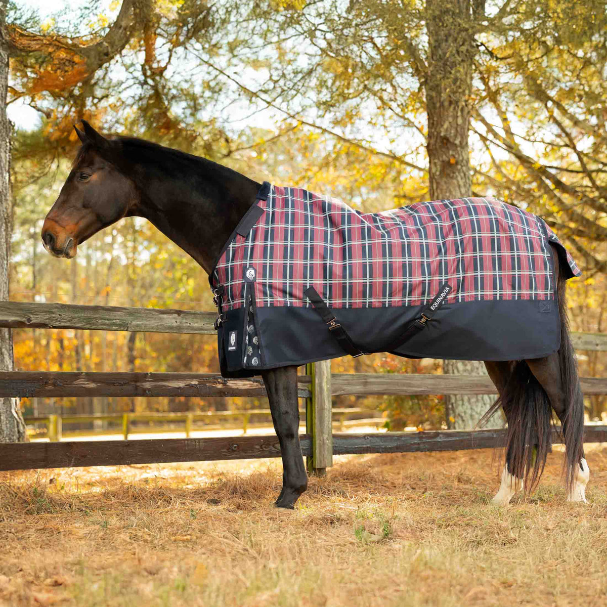 Equinavia Norse Mid Weight Turnout Blanket 200g image #1
