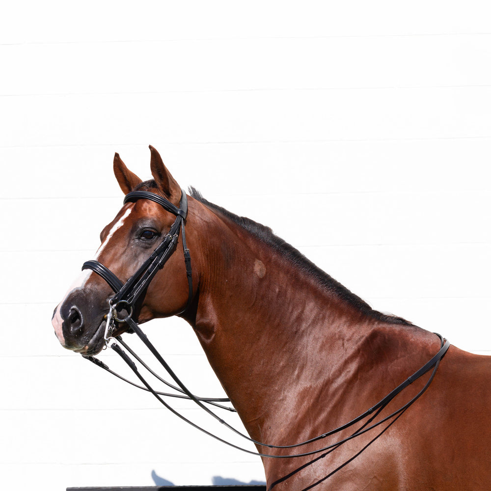 Equinavia Saga Double Bridle w/ Reins image #2
