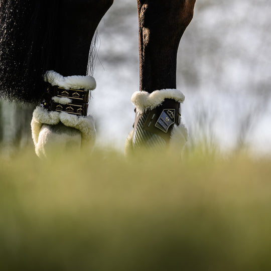 Veredus Carbon Gel Absolute Save the Sheep Rear Fetlock Boots image 
