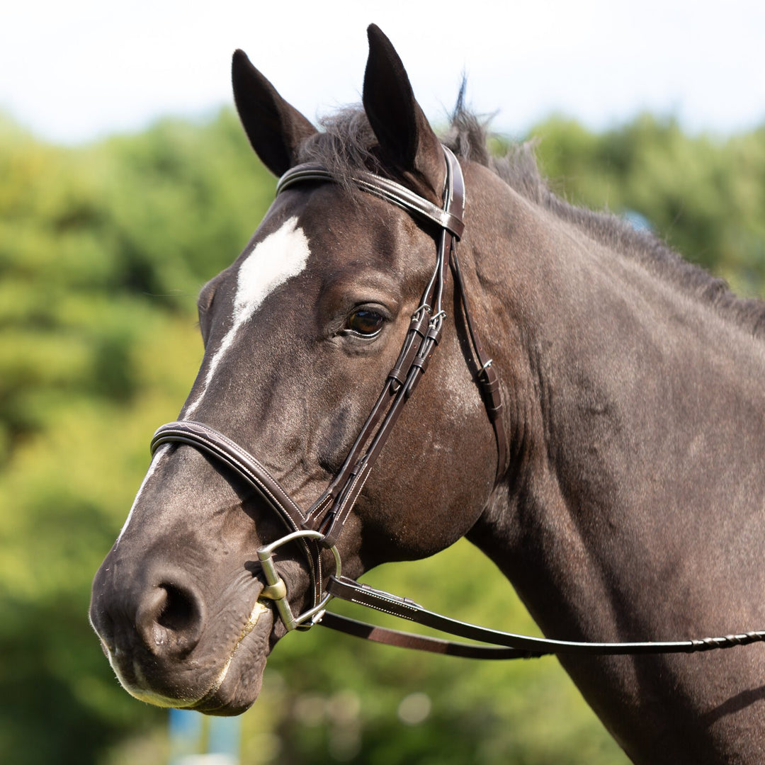 Equinavia Saga Fancy Stitched Hunter Bridle &amp; Reins image 