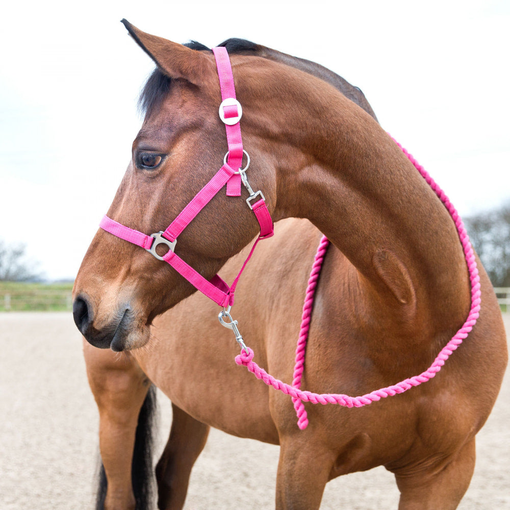 Horze Basic Cotton Lead Rope image #2