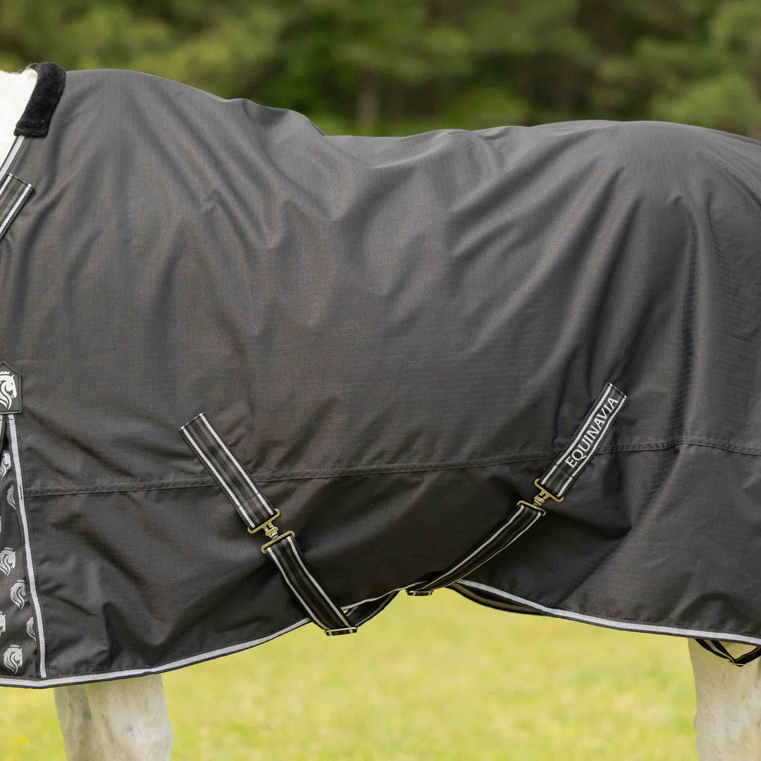 Equinavia Norse Fleece Lined Turnout Blanket image 