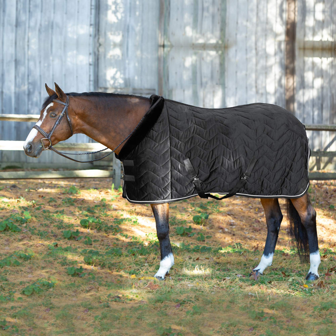 Equinavia Luksus Premium Cooler image #1