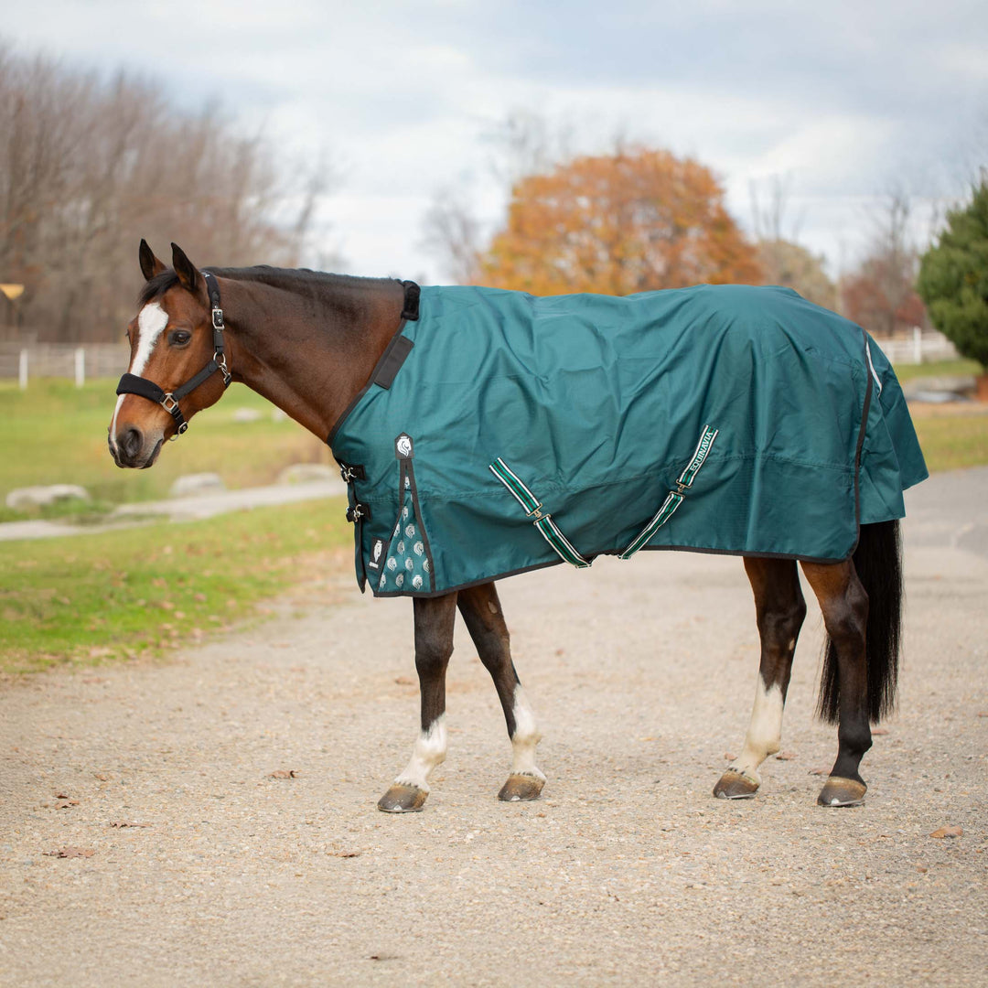 Equinavia Arktis Regular Neck Light Weight Turnout Blanket 100g image #1