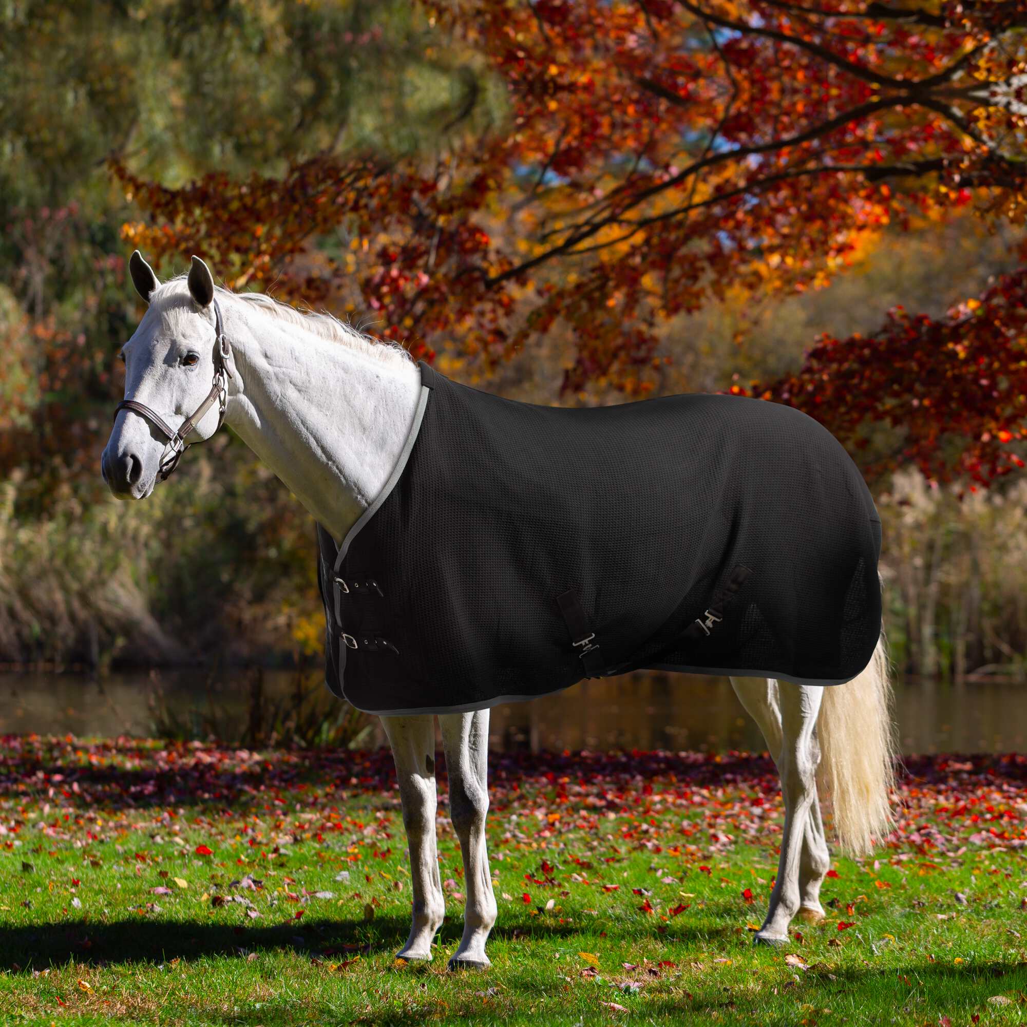 Equinavia Luftig Waffle Cooler image #1