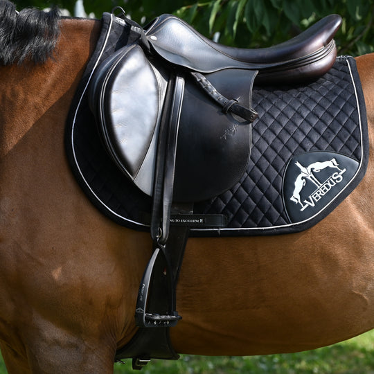 Veredus Vita Stirrup Steel1 Dark image 