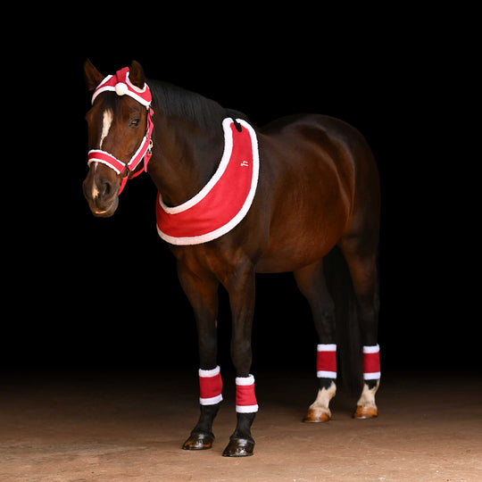 Horze Santa Harness image 