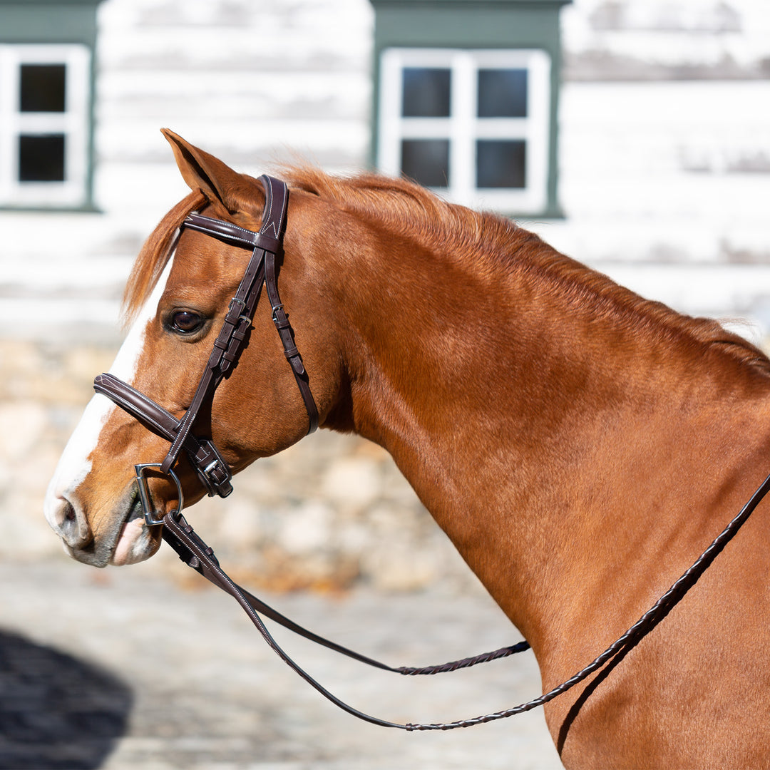 Equinavia Valkyrie Pony Fancy Stitched Bridle image 