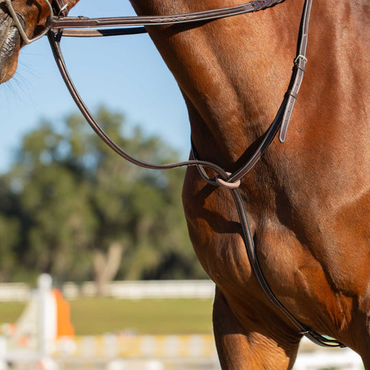 Equinavia Valkyrie Fancy Stitched Standing Martingale image 