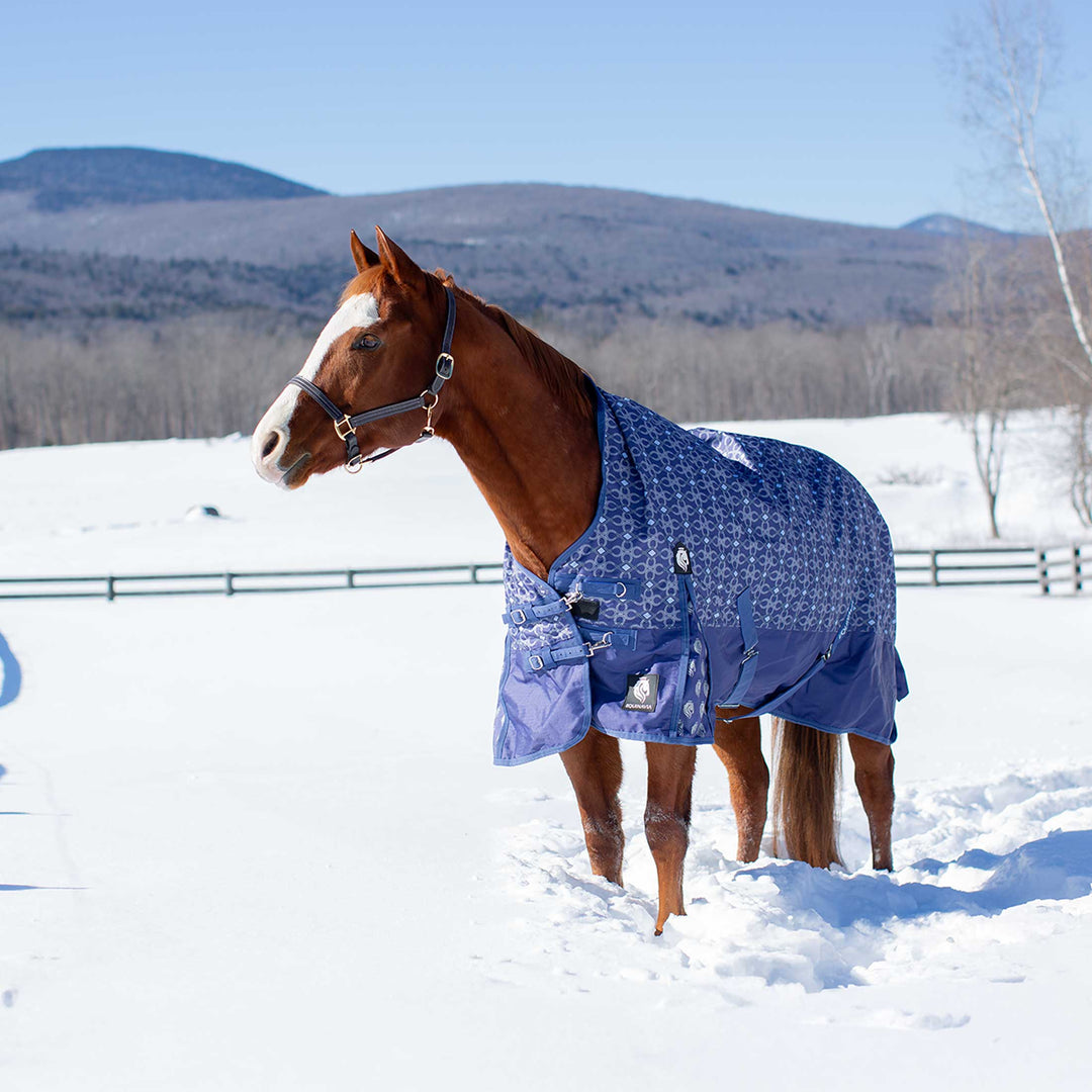 Equinavia Arktis Extended Neck Turnout Sheet image 