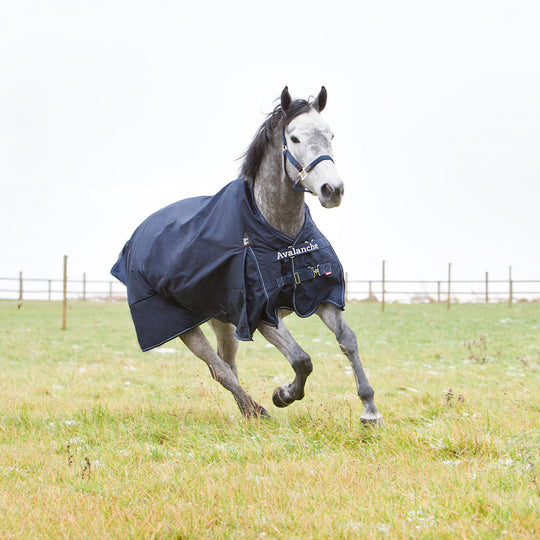 Horze Avalanche Heavy Weight Turnout Blanket 300g image 