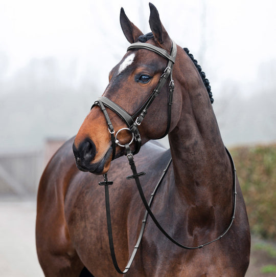 Horze Venice Soft Padded Bridle w/ Reins image 