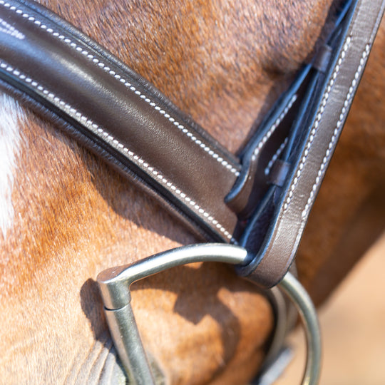 Equinavia Saga Wide Noseband Hunter Bridle with Reins image 