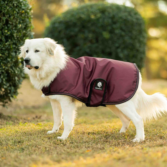 Equinavia Norse Dog Turnout Sheet image 