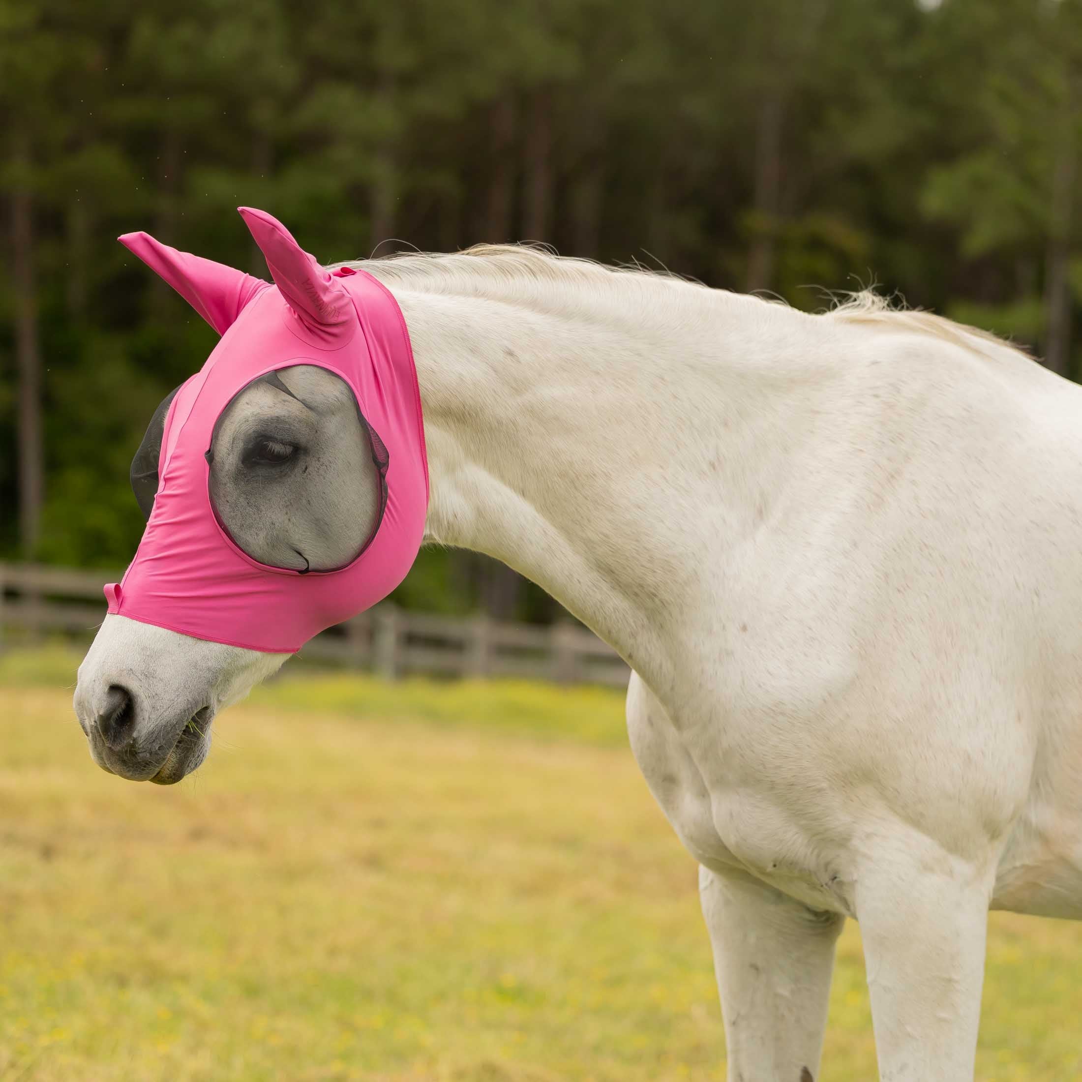 Equinavia Bug Out Fly Mask image #1
