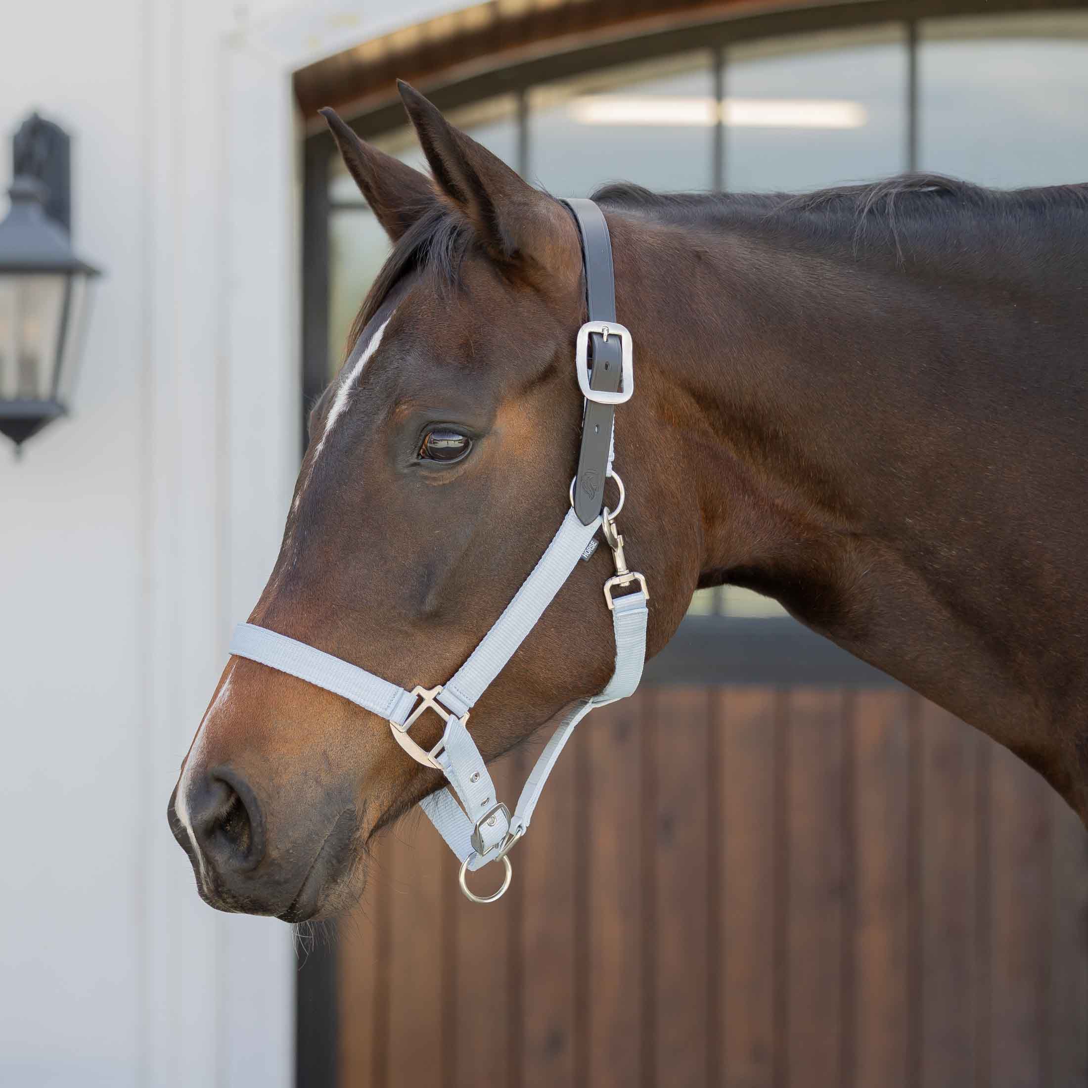 Equinavia Loki Breakaway Halter image #1